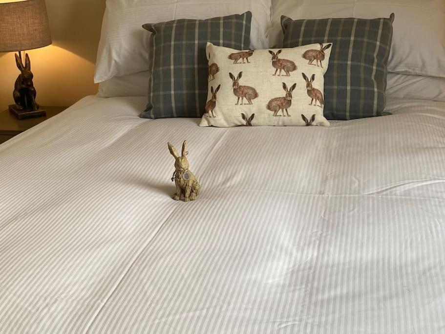 The Burrow, Langholm, Dumfries And Galloway Екстер'єр фото